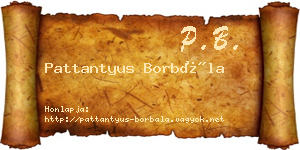 Pattantyus Borbála névjegykártya
